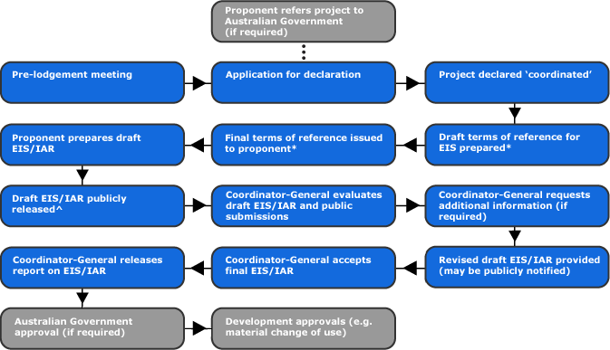 EIS process flow chart