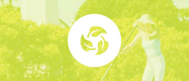leaves in a circular pattern
