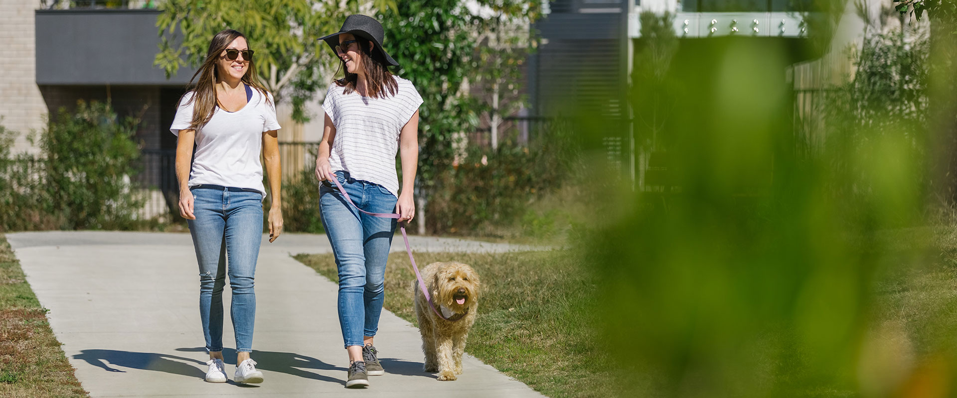 Redland Housing Strategy State Development and Infrastructure