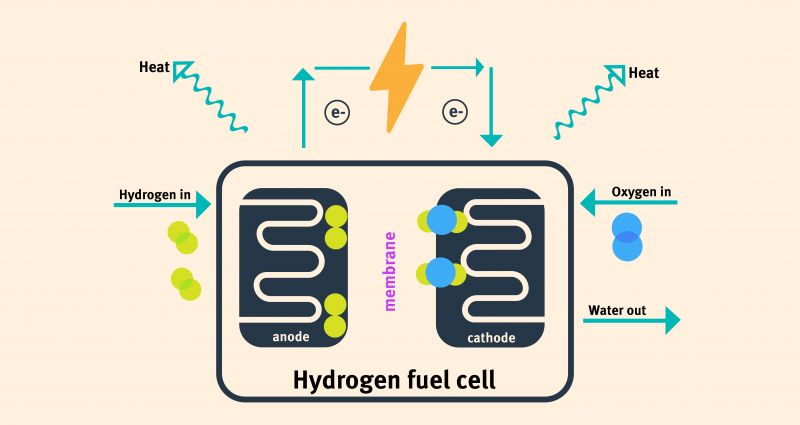 A diagram of a hydrogen fuel cell, showing hydrogen and oxygen atoms entering the cell, and heat and water being expelled. 